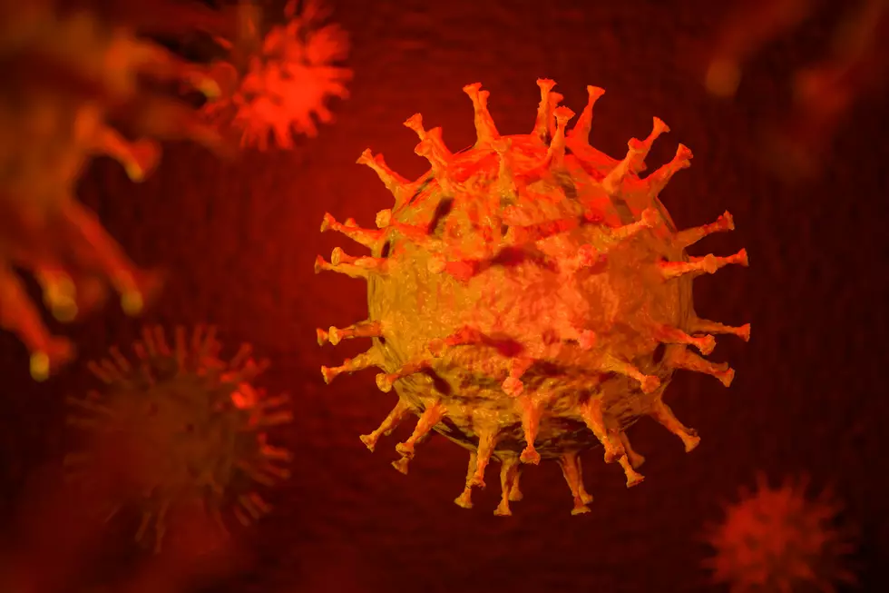 Cases Of Corona Virus Up In The Berkshires