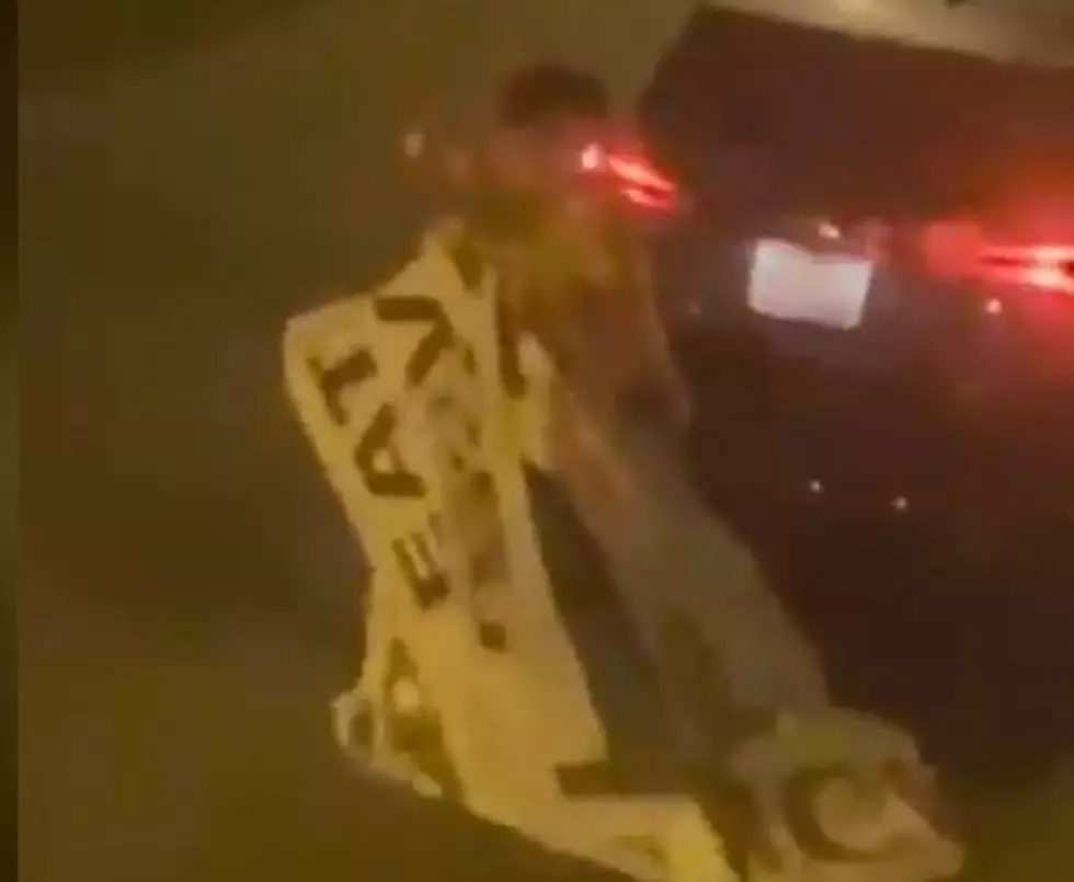 Cops Trying To Identify Man Damaging Lanesboro Pizza Banner(Video