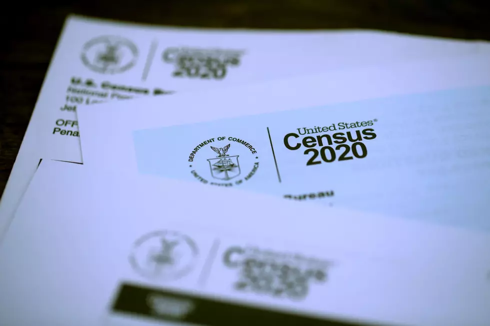 2020 Census Report Card for the Berkshires