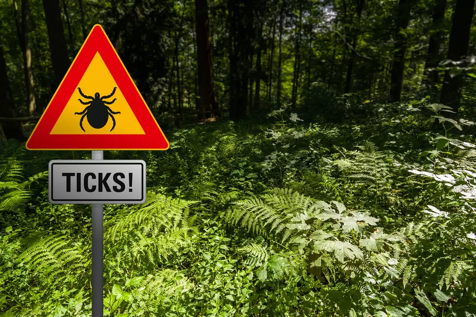 Ticks Remain A Concern Even As Temperatures Cool Down