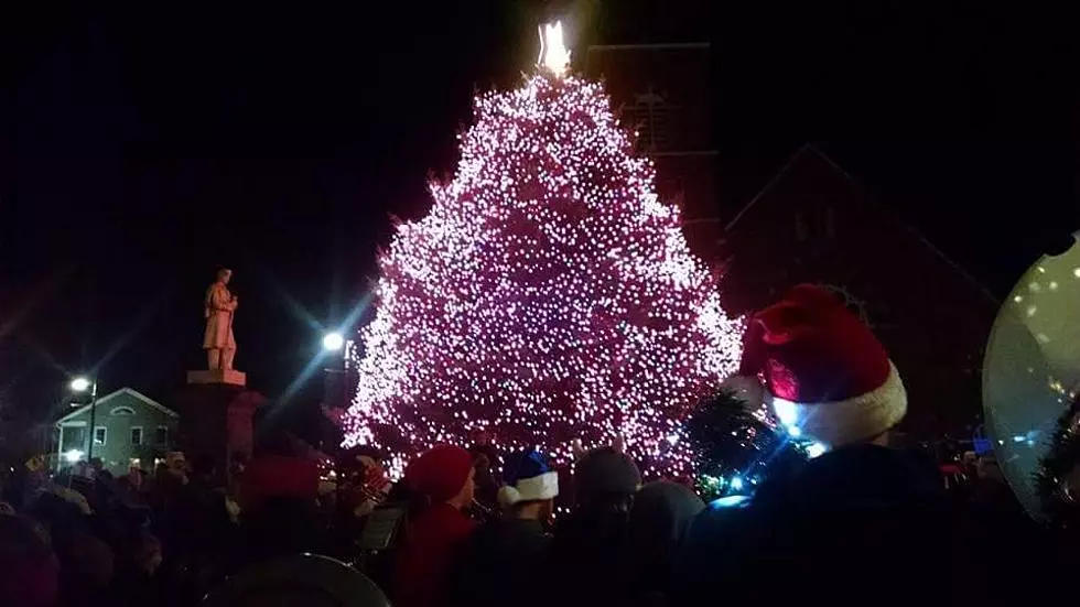 Pittsfield & North Adams Are Looking For City Christmas Trees