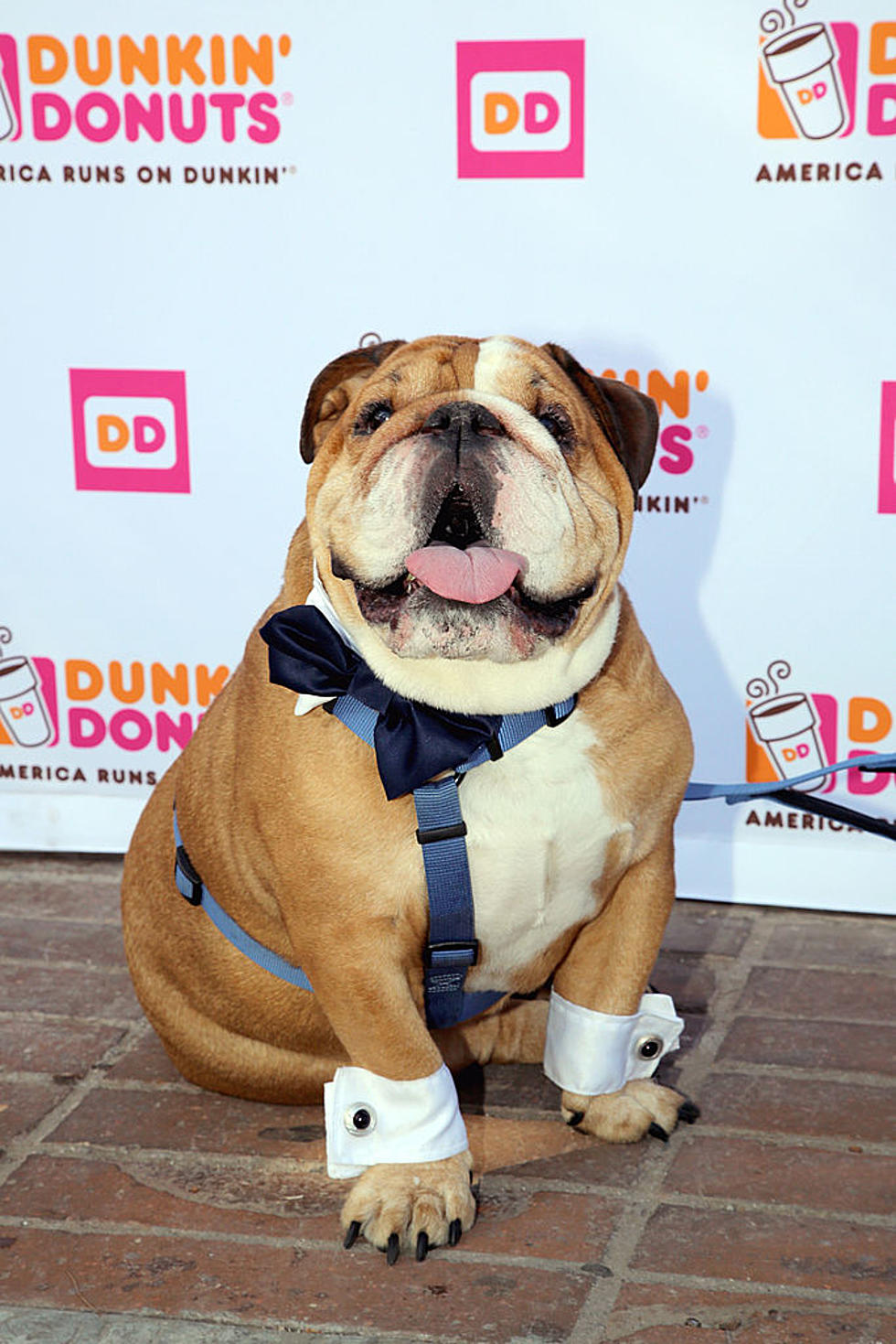 $1 Doggie Treat from Dunkin’…”Cup for Pup” available next week.