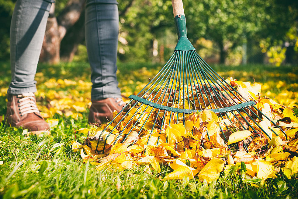 Winter is on its way&#8230;the Berkshires&#8217; weather says you better start raking..