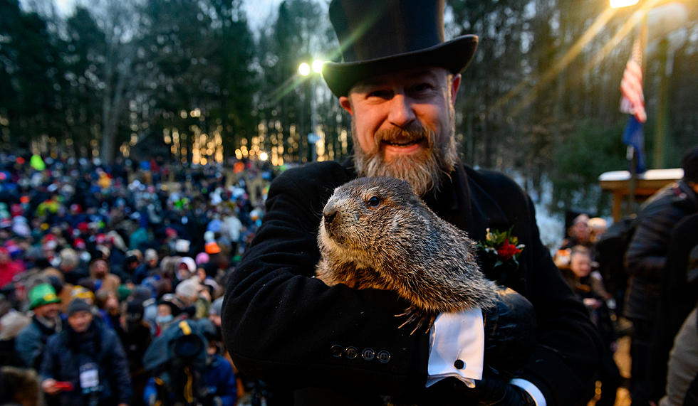 Today Is Groundhog Day,There's More Than One To Pick From