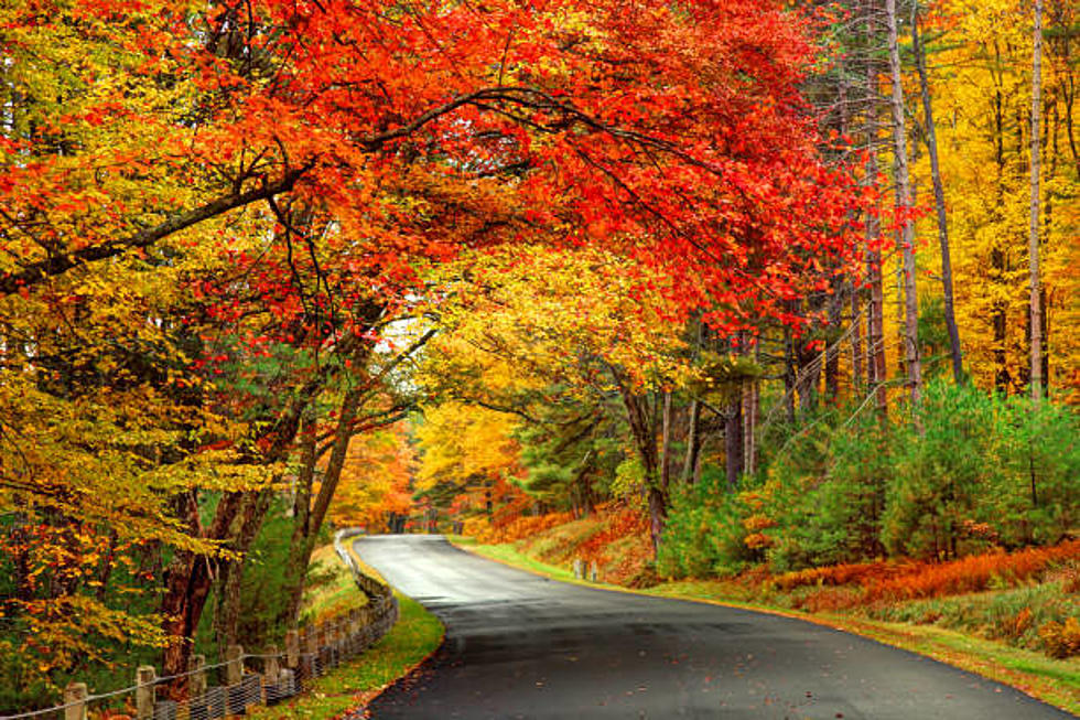 Western Massachusetts is Home to 2 of the Most Scenic Road Trips in the Entire State
