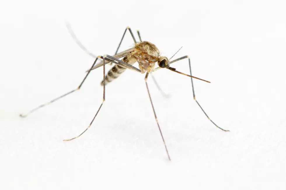 Additional Mosquito Spraying Set for This Week 