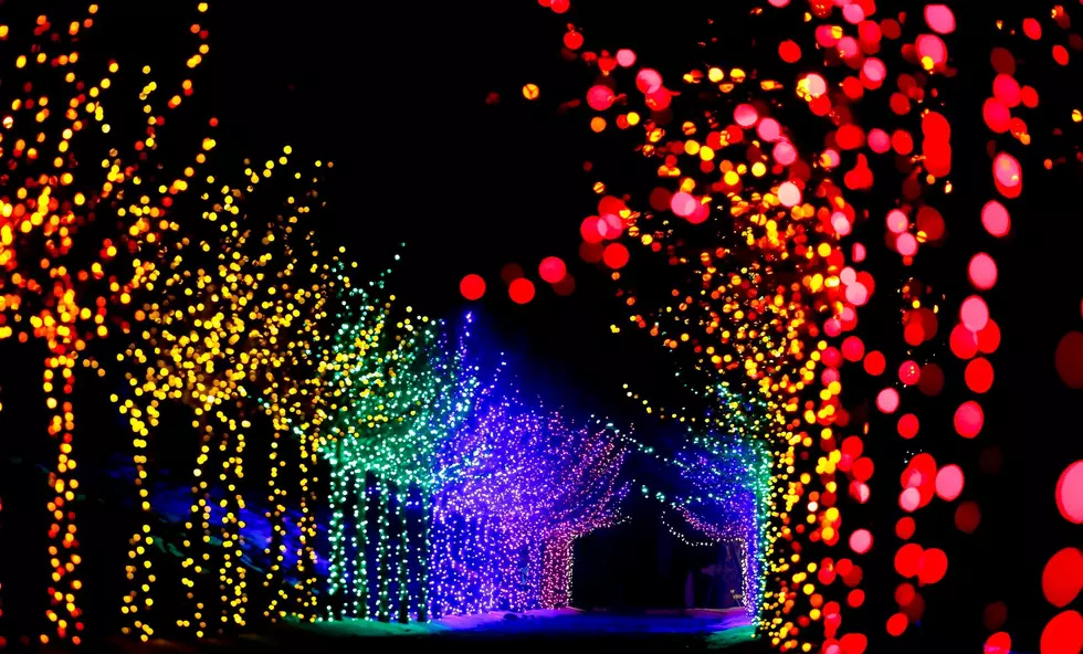 First Responders Night at Naumkeag’s Winterlights Set for This Week