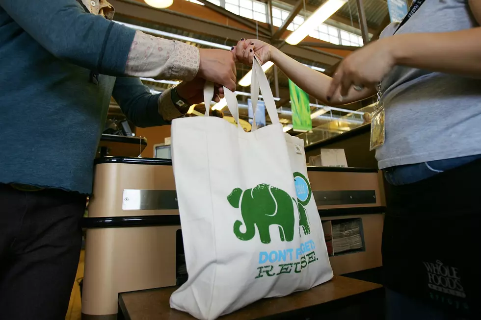 Pittsfield Plastic Bag Ban to Go Before Council 