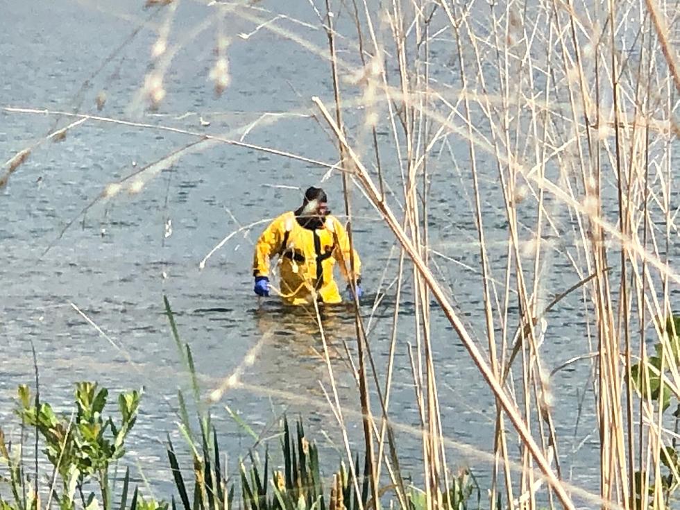 Silver Lake Search Recovers Swimmer's Body 