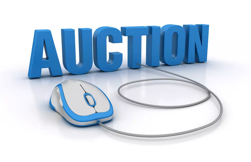 Berkshire County's Great Radio Online Auction is Live