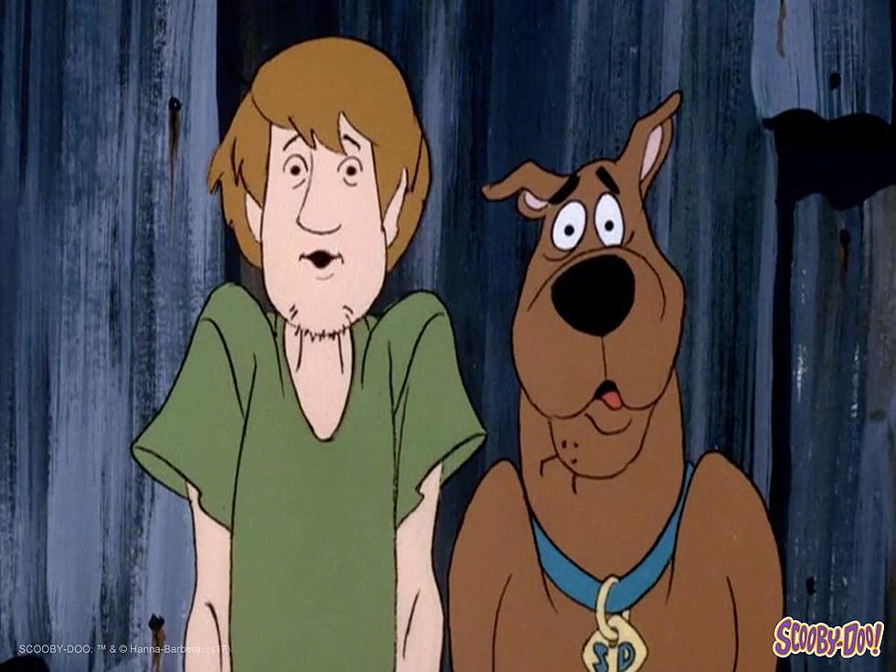 What Does Scooby-Doo Have to Do with Five Western Mass Colleges?