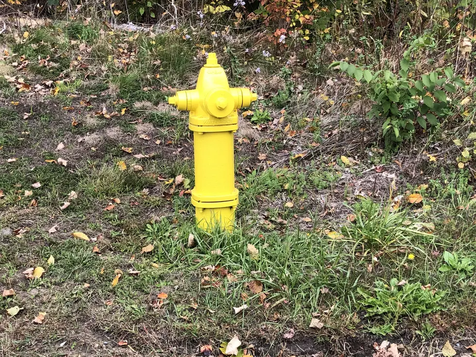 Here's Why Massachusetts Fire Hydrants Are Different Colors