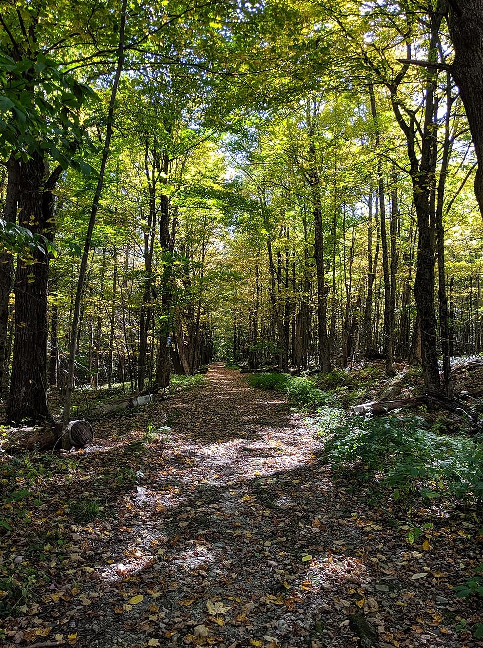 Breathtaking Western Massachusetts Hiking Trail Named Best in US