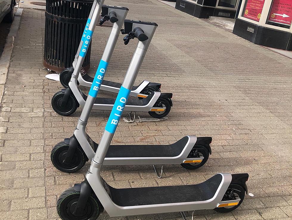 Bird E-Scooters Are Back In Pittsfield