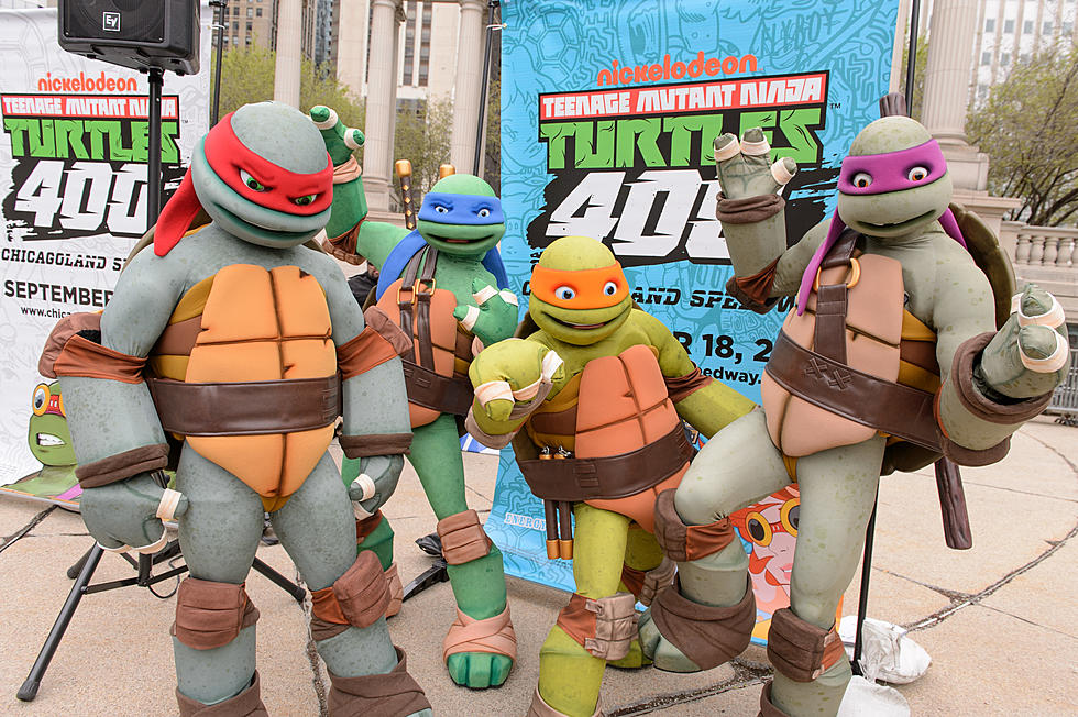 Why Are Teenage Mutant Ninja Turtles Taking Over a Small MA City?