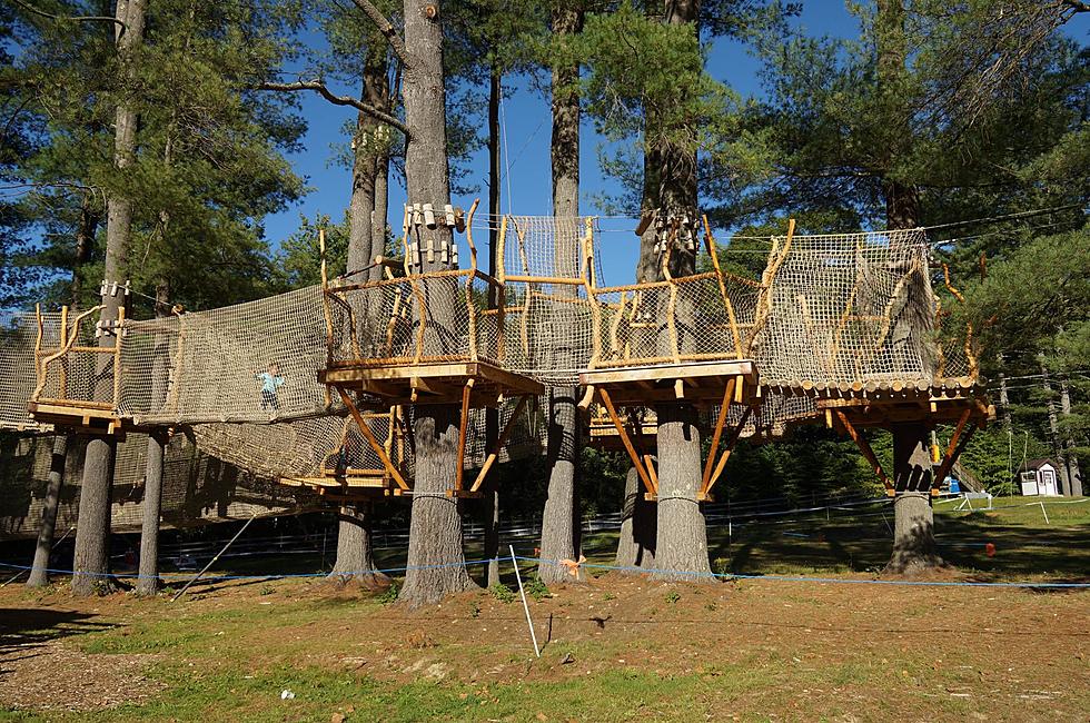 Tree House Trail Offers Affordable Family Adventure in Western MA