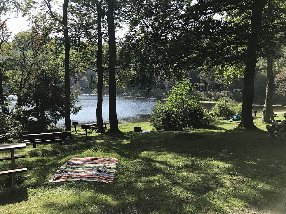 This Beautiful Pond is a Hidden Gem for Relaxation in Massachusetts