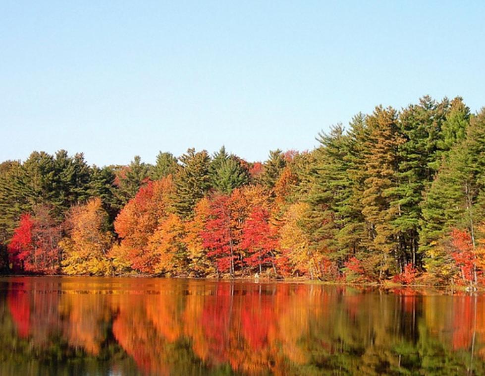 Massachusetts Home to 10 Best Fall Foliage Hikes in New England