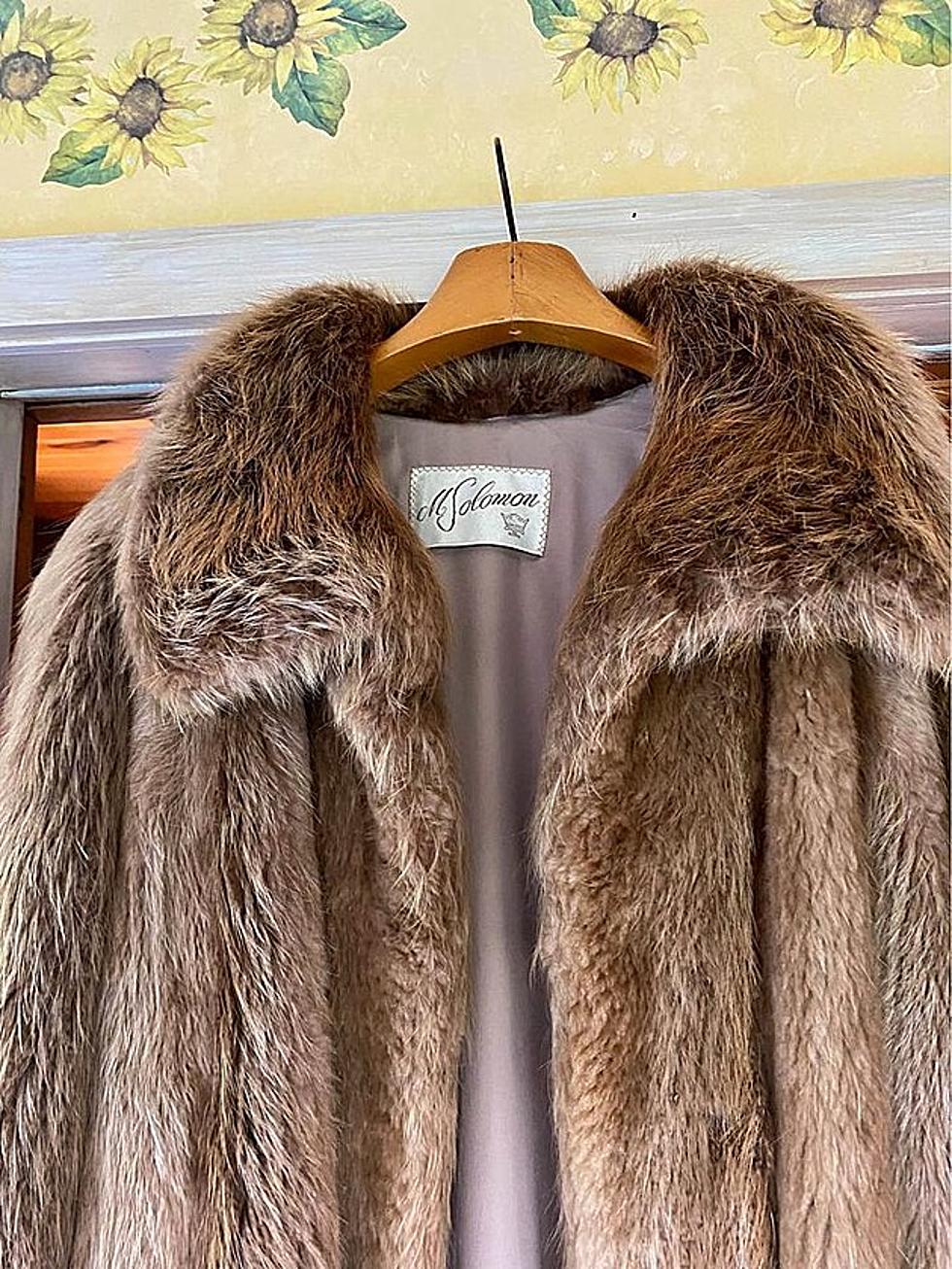 These 6 Massachusetts Towns Have Banned The Sale Of Fur 