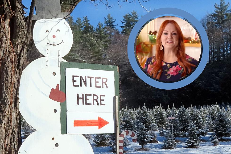 TPW Names the #1 Best Christmas Tree Farm in Massachusetts