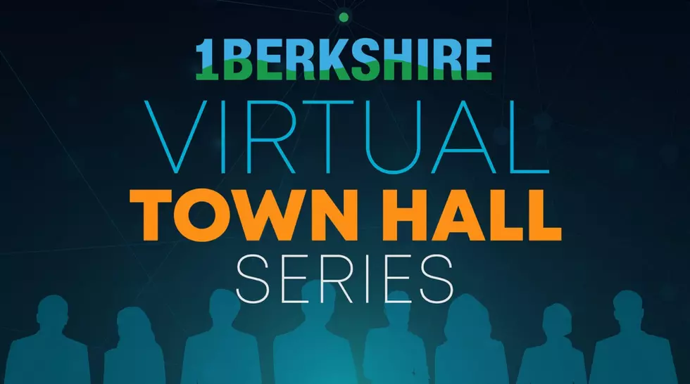 1Berkshire Ninth Virtual Town Hall Will Focus On 2020 Census