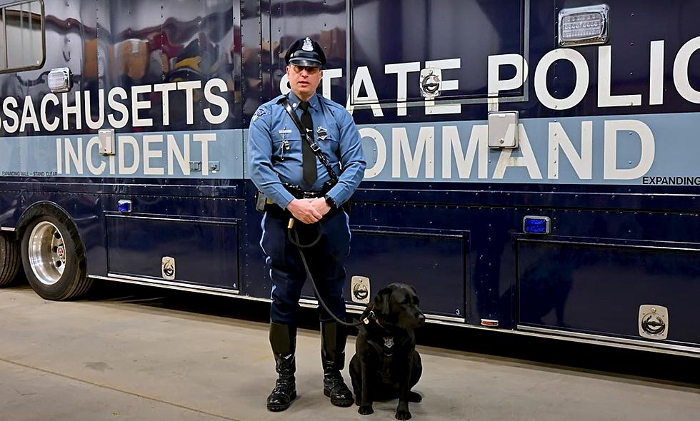Massachusetts State Police Promote Safe Travel With Your Dog