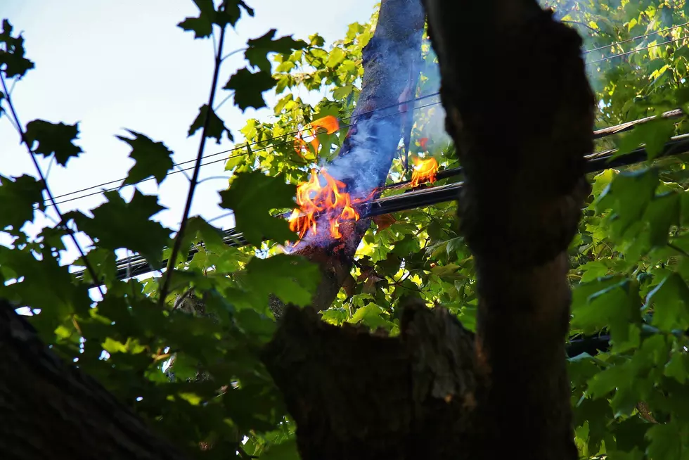 Berkshire County Tree Fire Can Be Seen As A Lesson For Homeowners