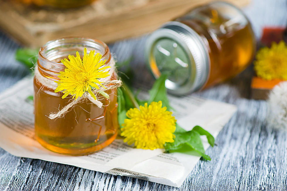 RECIPE: Dandelion Jelly Is Delicious and Surprisingly Easy to Make