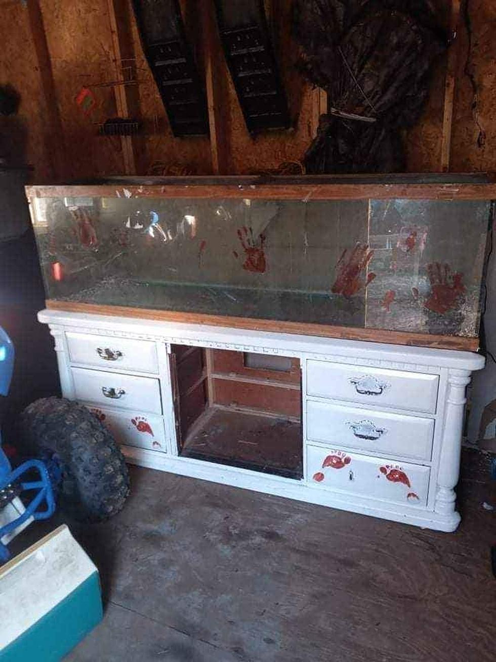Perfect for Piranhas? Horrifying Bloody Fish Tank For Sale in Fulton