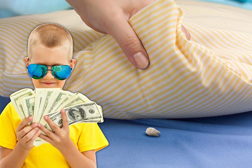 ‘Tooth’ Be Told: Where Does New York Rank in Tooth Fairy Payouts?