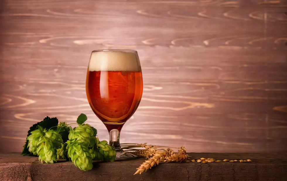 It's National IPA Day! What Our Local Breweries Have on Tap Now