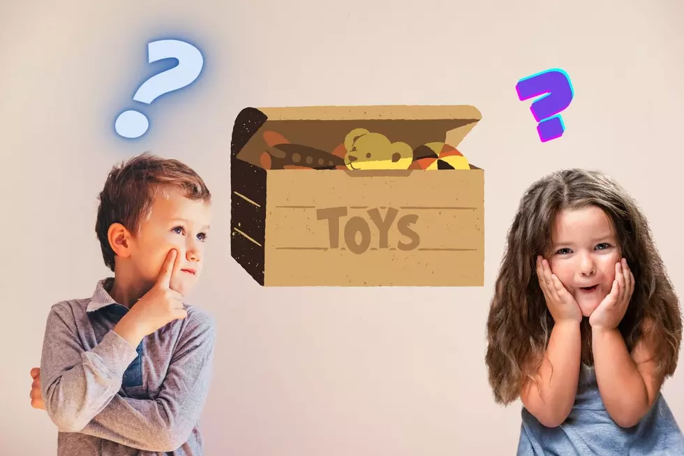 PLAY TIME! What 3 Toys Were Inducted Into New York’s Toy Hall of Fame?