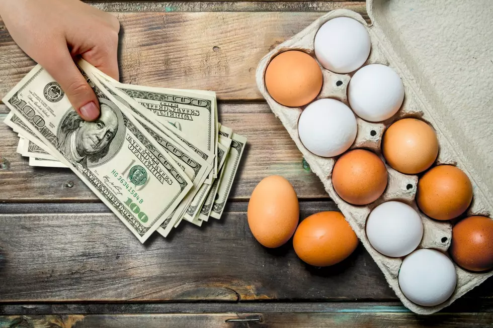 7 Things Cheaper Than a Dozen Eggs in Central New York