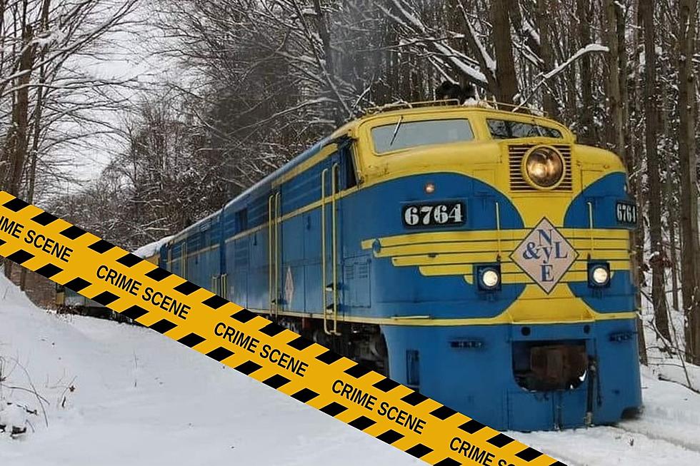 Think You Can Solve a Murder Mystery from This Moving NY Train?