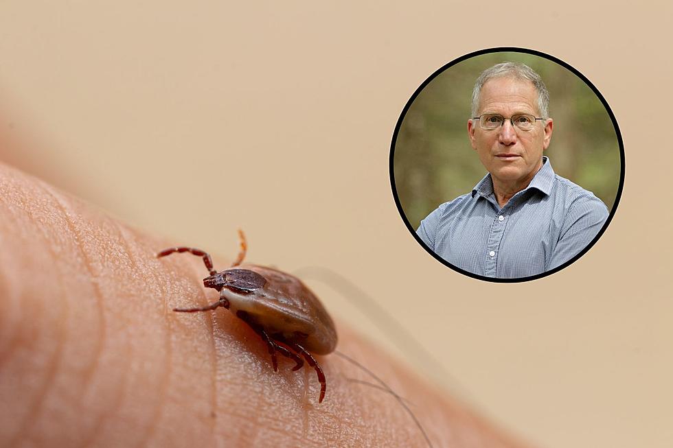 Does This NY Man Have Superpowers?! Ticks Die When They Bite Him
