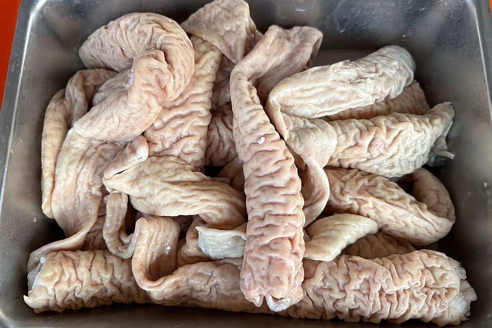 GROSS! New Yorkers Busted for Smuggling Illegal Animal Intestines