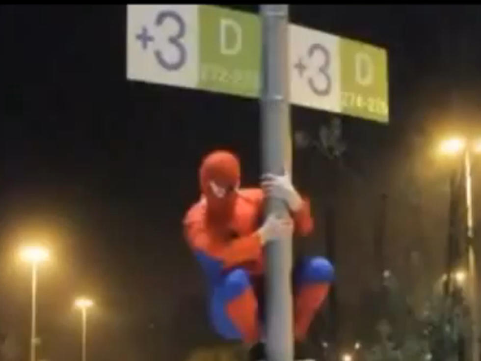 Polish Spiderman Impersonator More Supervillain than Superhero [VIDEO]
