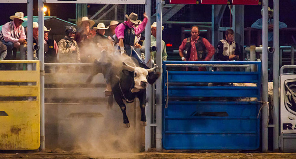 Magic Valley Stampede Winners Announced
