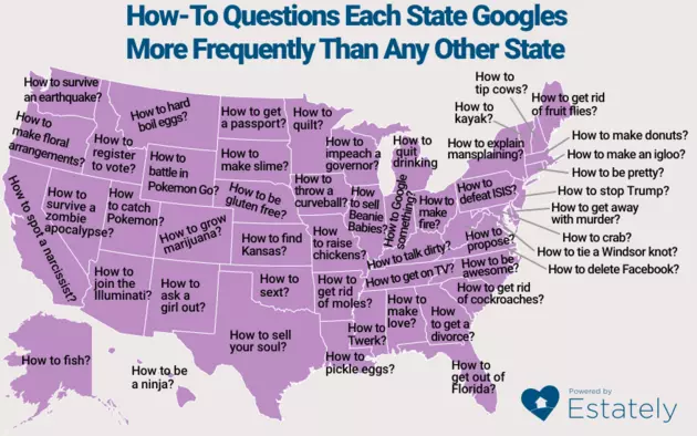 Idahoans Google How to Do This More Than Anything Else