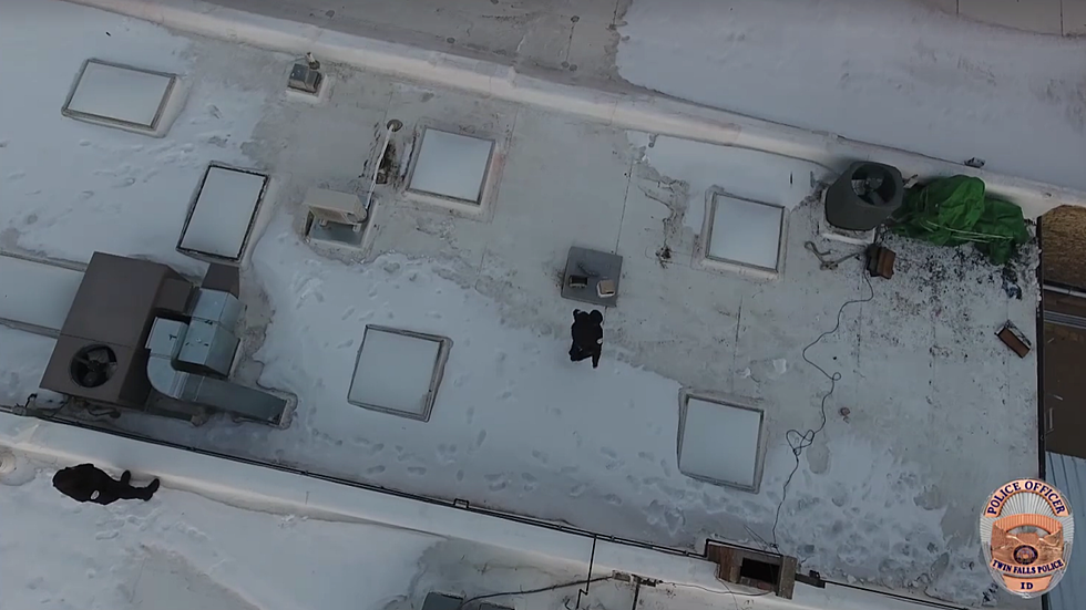 Rooftop Burglar
