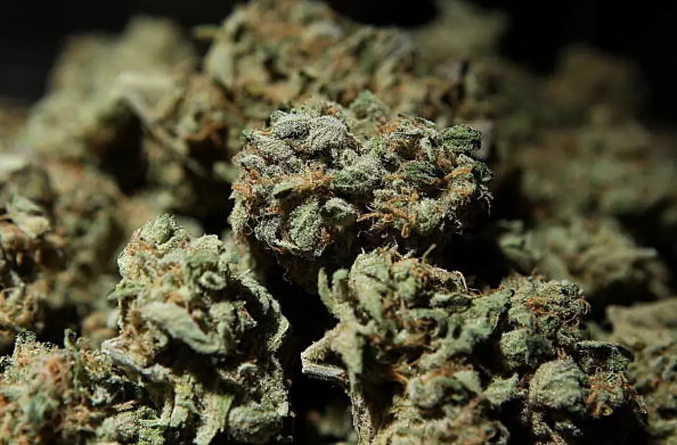 Would Federal Legalization Of Marijuana Make Idahoans More Open To It?