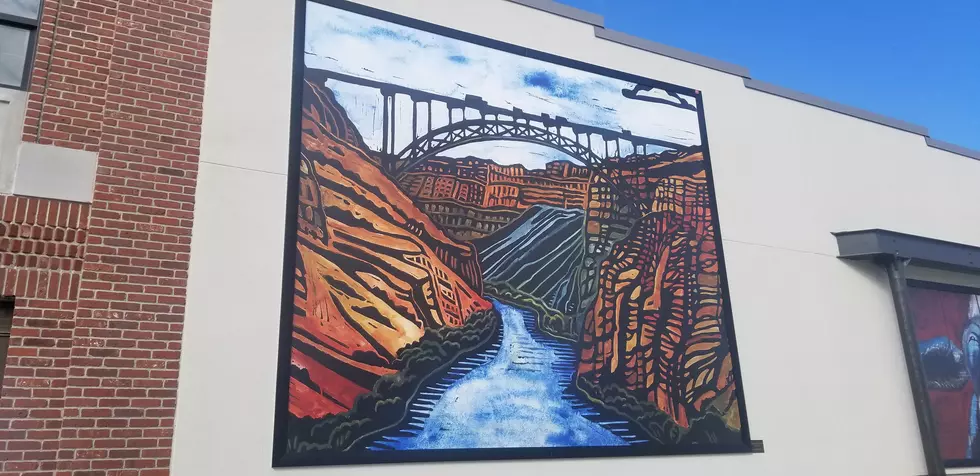 Downtown Twin Falls Artwork Is Really Something To Look At