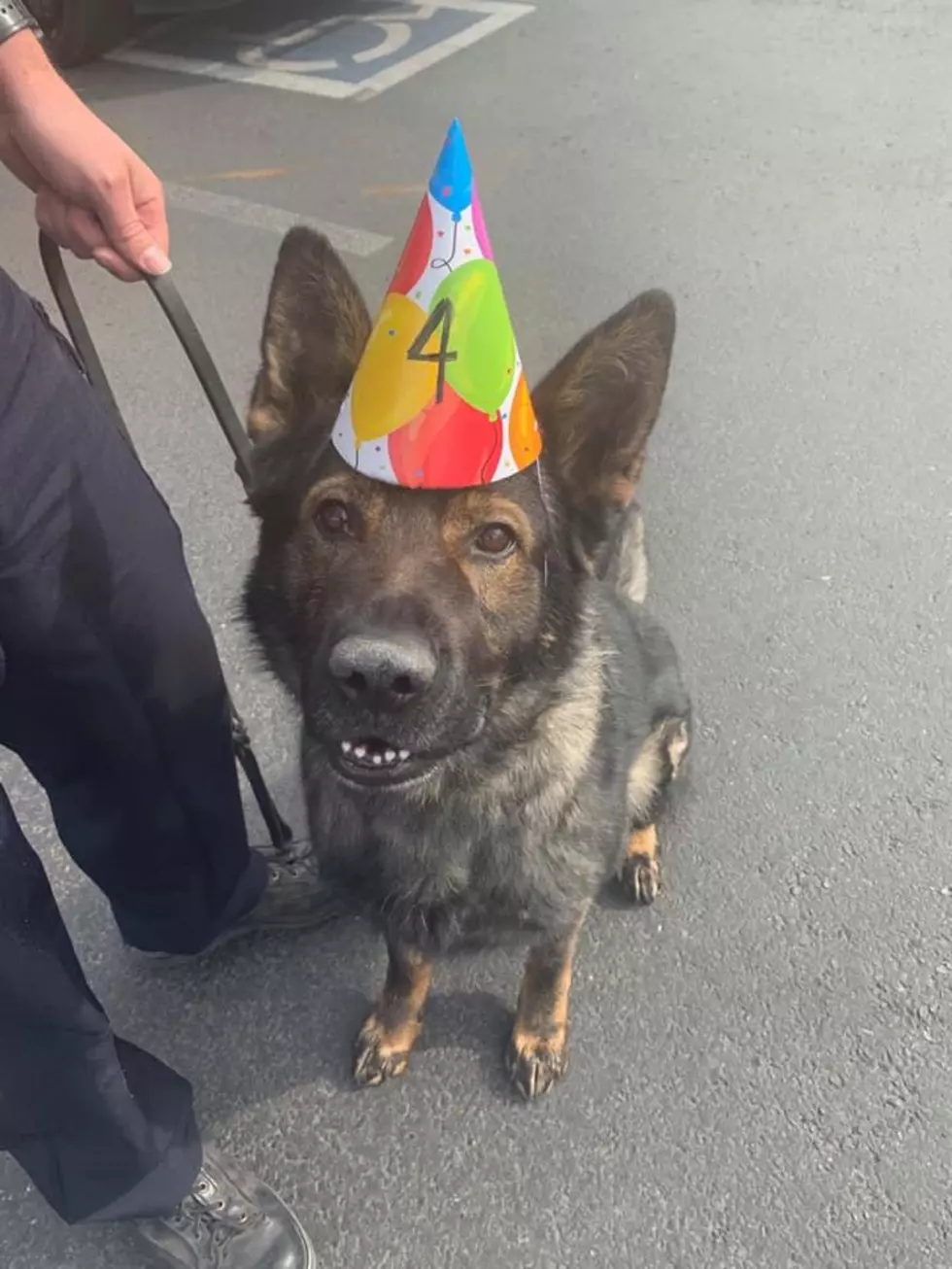 Twin Falls Police Department Celebrate K-9 Frankie’s Birthday