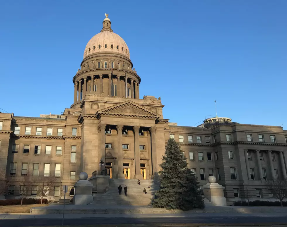 Idaho State Capitol Lighting Up Christmas Tree