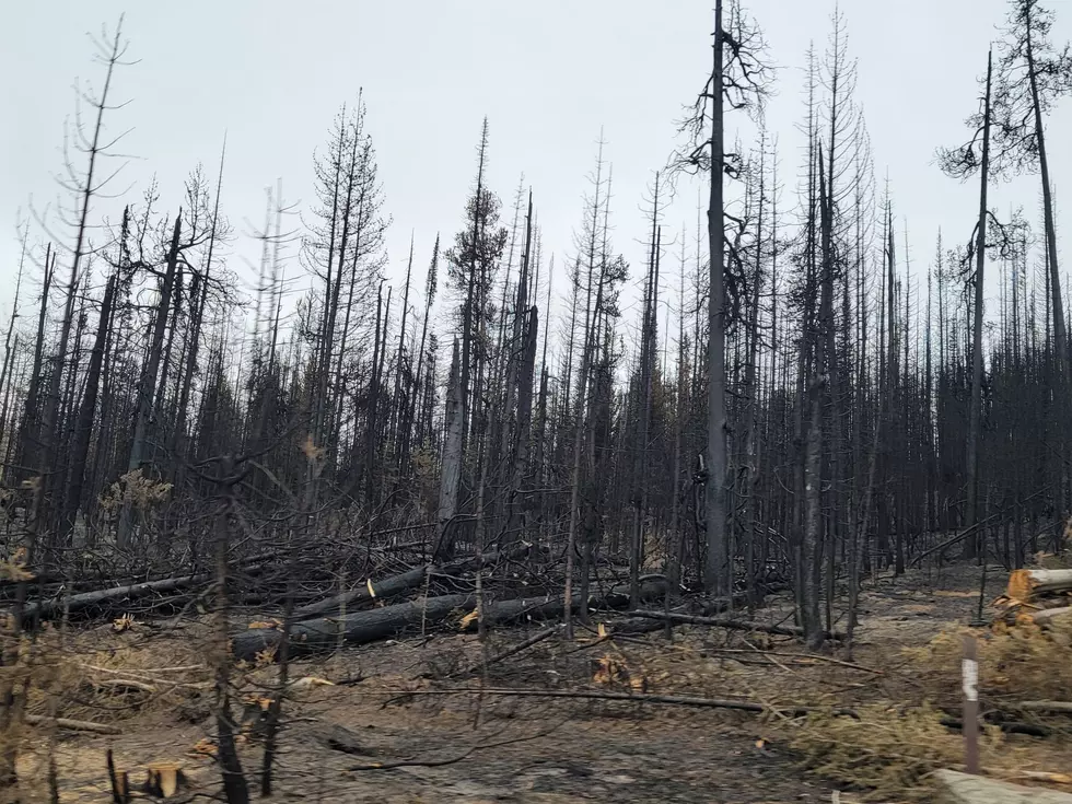 Badger Fire Aftermath: Scorched Campsites And Untouched Areas