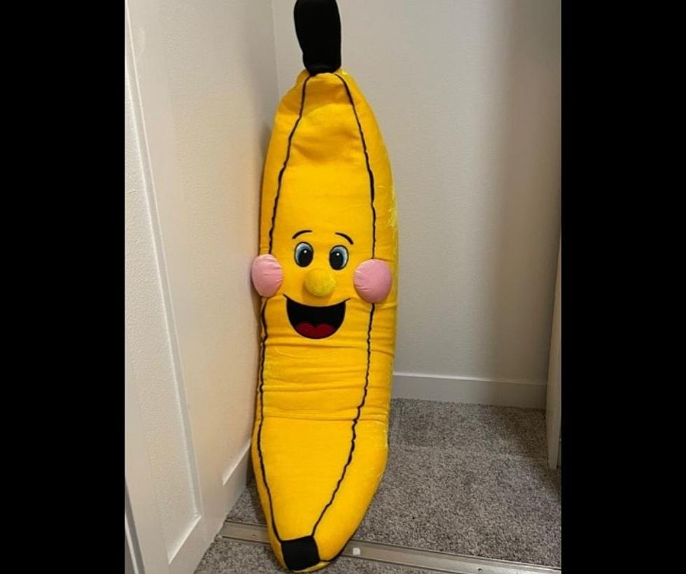 Giant Stuffed Banana On The Move; Arriving In Twin Falls Soon?
