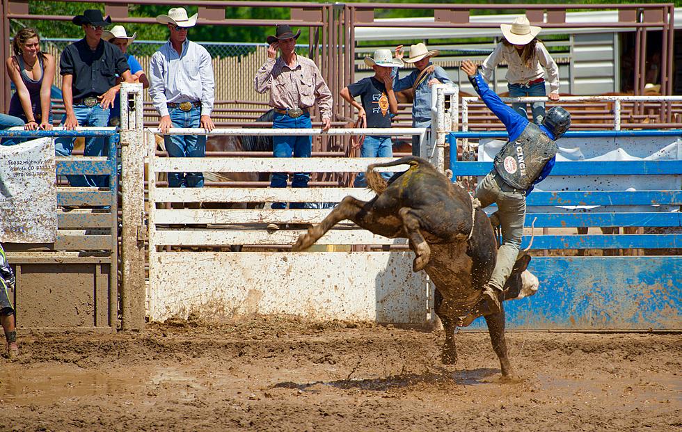 WIN: Bull Riding Action Comes to Twin Falls at 2022 CSI Bull Bash