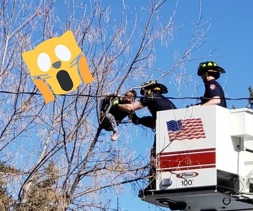 The Twin Falls Fire Department Rescued A Child Stuck In Tree