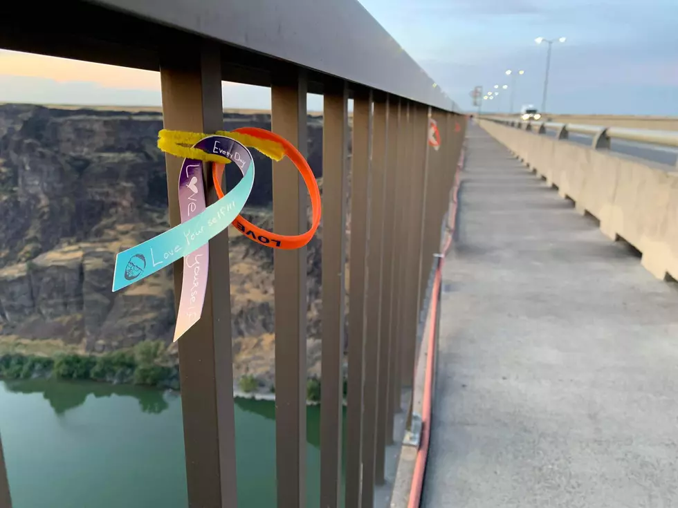Bands At The Bridge Suicide Prevention Event In Twin Falls