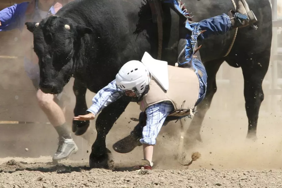 Watch: Bull at Rodeo Charge into Crowd at State Fair